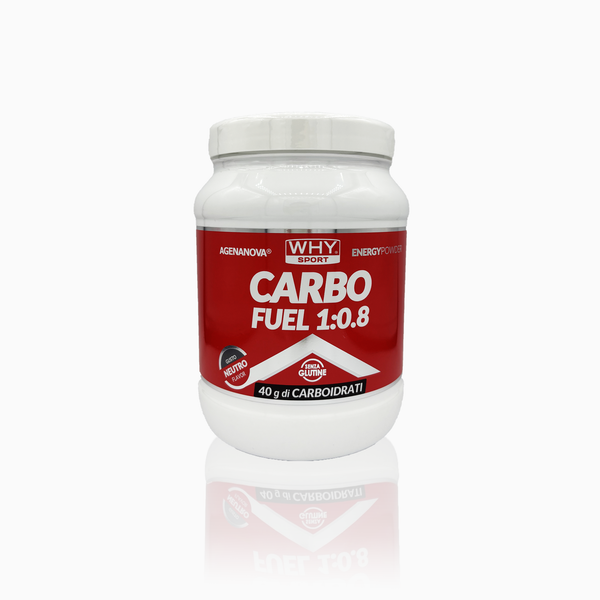 WHY SPORT CARBO FUEL 1:0.8